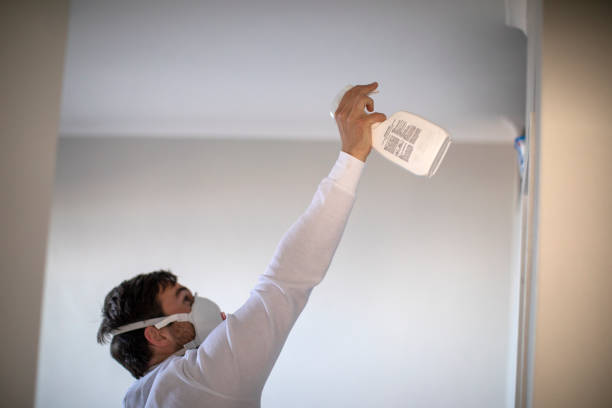Trusted Wheelersburg, OH Mold Remediation Experts