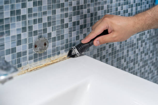 Best Emergency Mold Remediation in Wheelersburg, OH
